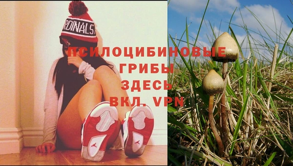 амфетамин Каменск-Шахтинский