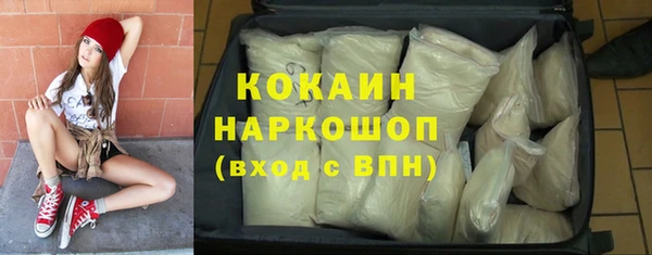 дмт Каменка