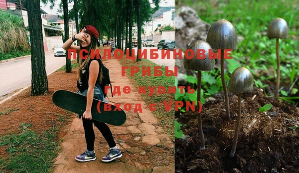 герыч Каменногорск