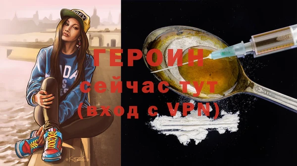 дмт Каменка