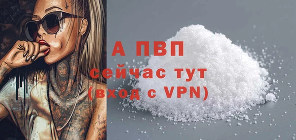 дмт Каменка