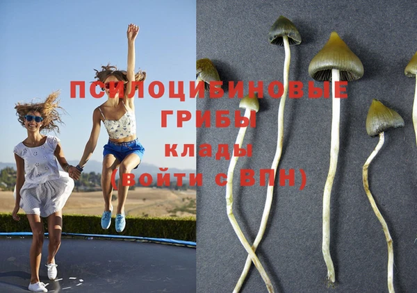 дмт Каменка
