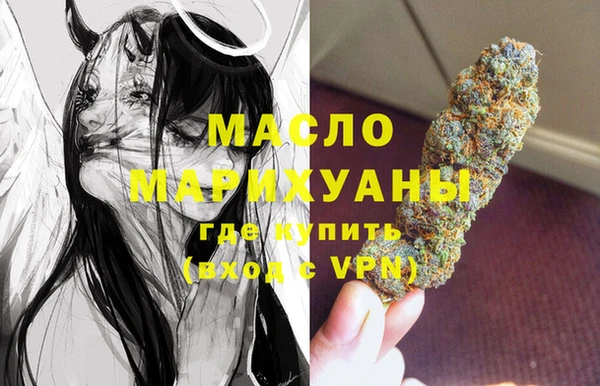 дмт Каменка